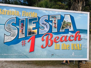 Paradise Near IMG AND SIESTA KEY
