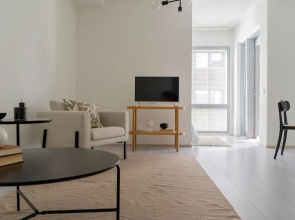 Spacious 2 br apartment in city center