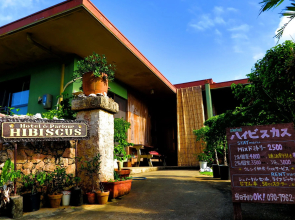 Hotel Hibiscus - Hostel
