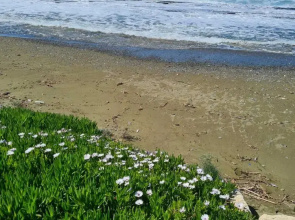 Imagine Renting Your Own 5 Star Private Cyprus Villa on the Beach, Paphos Villa 1410
