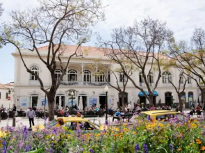 Central Funchal Apartment - GARDEN - Free Parking & AC