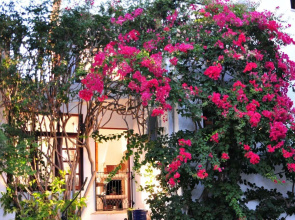 Uma Casa à Beira Sol
