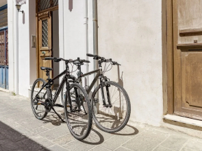 Ethrion plus Home experience