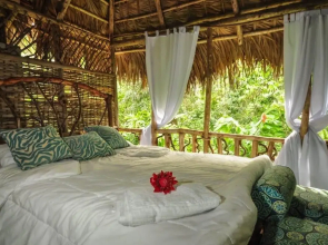 Samana Tropical with DodoMap