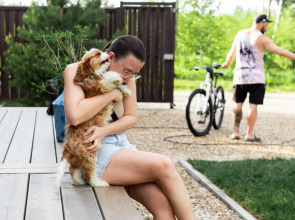 Wowdom (Ваудом)