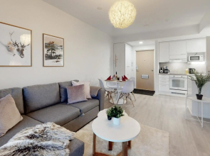 Apartment Scandinavia IV