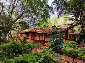 Jungle inn