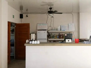 The Thirsty Turtle Hostel