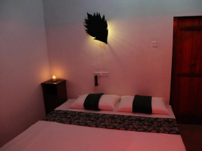 Sinharaja Forest Edge