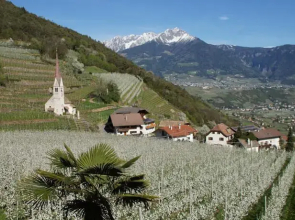 Oberangerhof (Adults Only)