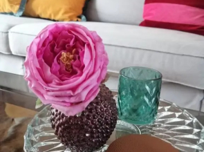 Large apartment 800m from the beach 90 Square meters