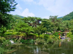 Wonju Munmak-eup Healing & Recreation Park Pension