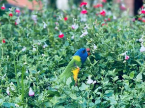 The Shopkeepers Quarters