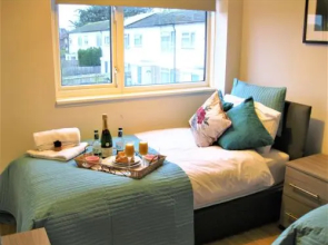 Airport/University Luxury Apartment 1