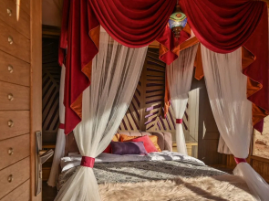 Palmera Camp Wadi Rum