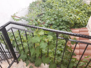 Melon-1, Murter, House for rest