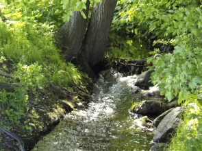 App. 25 Strandliebe - zum Meer in nur 15 Minuten