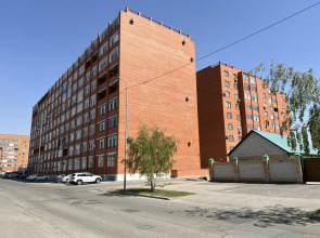 Live on 133 Baizakov Street