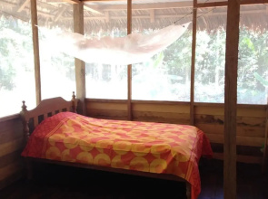 Tambopata Trek