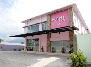 Purple Hotel by OYO Rooms