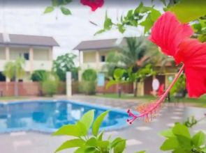 Adina Drive In Motel