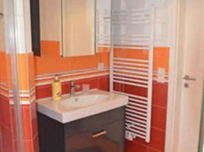 Schilfdachvilla Zeesboothaus WE308