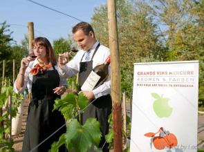 Mercure Tagungs- & Landhotel Krefeld