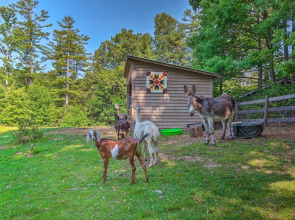 Rustic & Authentic Farm Stay by Dupont Forest!