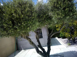 Villa Manet Portiragnes