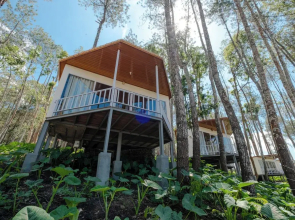 La Pino Mount Batur and Hot Spring