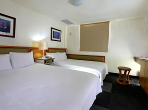 The Lion Hotel