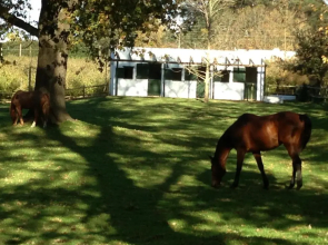 Vredenhof Farm Cottage