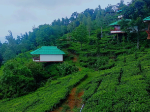 Vythiri Hills Nature Resort