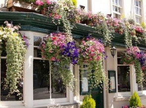 Black Swan Hotel