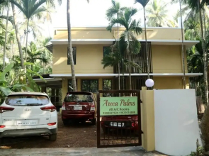 Areca Palms