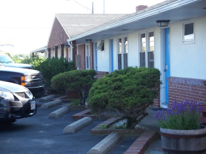 Blue Sea Motor Inn