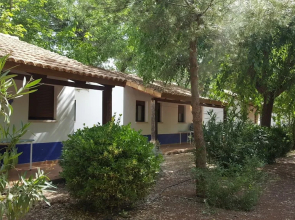 Camping Los Arenales