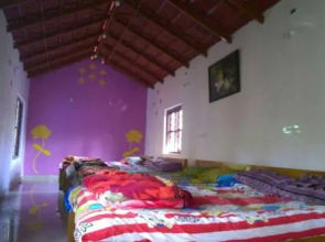 Double Occupancy Room