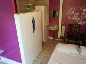 Secret Garden Hotel - Hostel