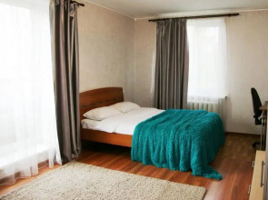 Барбарис на улице Парижской Коммуны 50