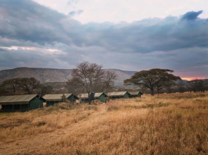 Rongai Eleven Serengeti Camp