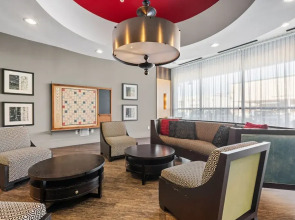 Dallas Beautiful 1BD 1BA Downtown Apartment