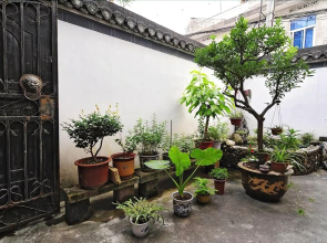 Huangshan Old Street Countyard Inn