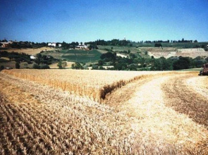 Agriturismo Il Mio Casale