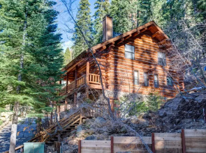 The Log Home