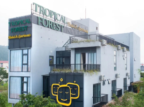 Tropical Forest Hostel & Apartments