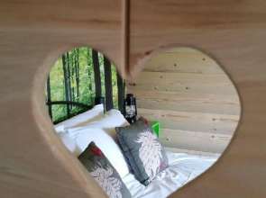 Stoke Stash Bed & Breakfast