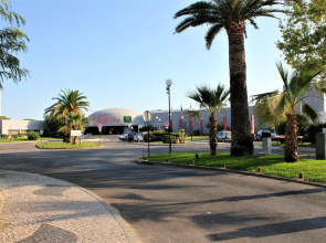 Vilamoura Dolphin Studio