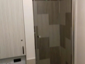 Apartament central V&P