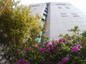 Elena Hotel